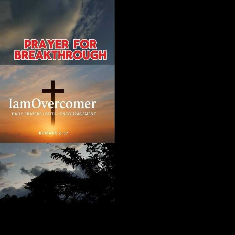 Profile picture of Iamovercomer